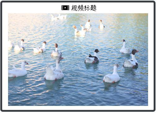 日天金策略 Optimus 3要来了？特斯拉全新“金色擎天柱”信息流出，手部酷似人类成焦点